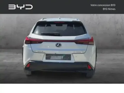 Photo 6 Lexus UX  250h 2WD F SPORT Executive MY20