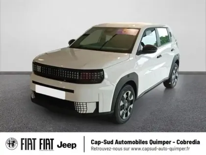 Photo Fiat Panda Icône