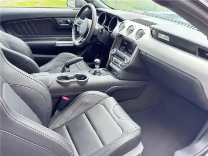 Photo 13 Ford Mustang V8 5.0 421