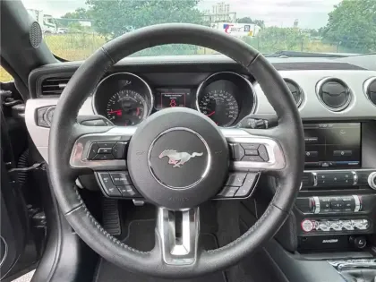 Photo 14 Ford Mustang V8 5.0 421