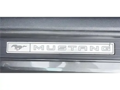 Photo 23 Ford Mustang V8 5.0 421