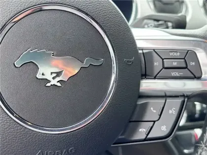 Photo 18 Ford Mustang V8 5.0 421