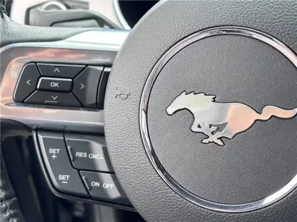 Photo 17 Ford Mustang V8 5.0 421