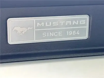 Photo 19 Ford Mustang V8 5.0 421