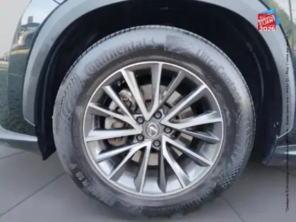 Photo 9 Lexus Nx  350h Luxe 2WD MY24