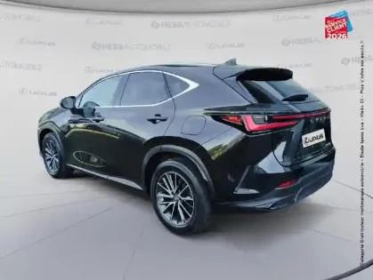 Photo 7 Lexus Nx  350h Luxe 2WD MY24