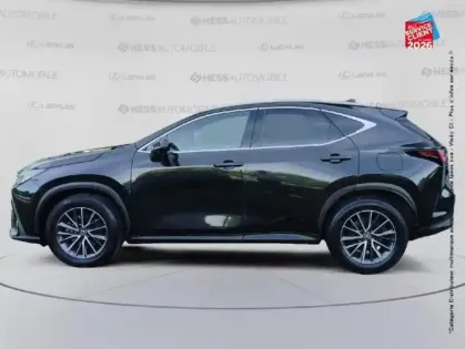 Photo 8 Lexus Nx  350h Luxe 2WD MY24
