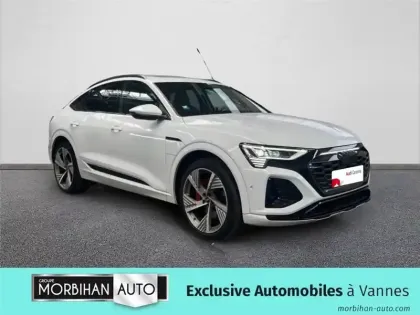 Photo 125 Audi E-tron 55 408 CH 114 KWH QUATTRO