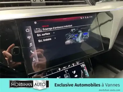 Photo 152 Audi E-tron 55 408 CH 114 KWH QUATTRO