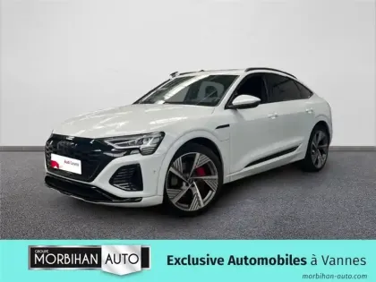 Photo 123 Audi E-tron 55 408 CH 114 KWH QUATTRO