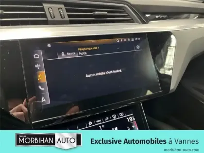 Photo 146 Audi E-tron 55 408 CH 114 KWH QUATTRO