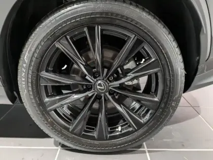 Photo 14 Lexus Nx  450h+ F SPORT Executive 4WD MY24