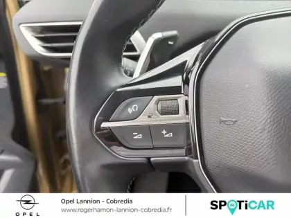 Photo 13 Peugeot 3008  1.5 BlueHDi 130ch E6.c Active Business S&S EAT8