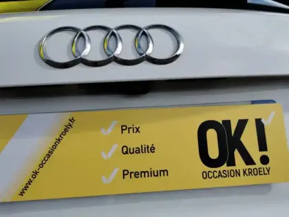 Photo 9 Audi Q3 35 TDI Design luxe 2.0 D 150 c