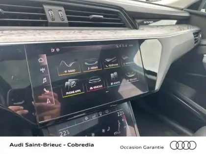 Photo 10 Audi E-tron  55 408ch Avus Extended e-quattro 9cv