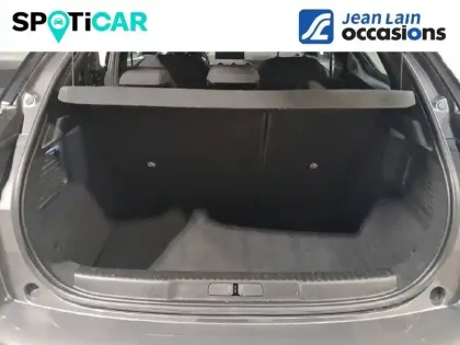 Photo 5 DS DS 3 DS3 Crossback PureTech 100 BVM6