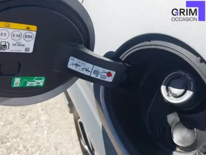 Photo 19 Ford Puma  1.0 Flexifuel 125 ch mHEV S&S BVM6