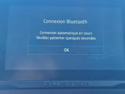 Photo 12 Dacia Duster II Prestige + Blue dCi 115 4x2