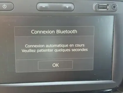 Photo 25 Dacia Lodgy 5 Places Stepway TCe 130 FAP E6U