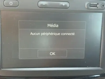 Photo 24 Dacia Lodgy 5 Places Stepway TCe 130 FAP E6U