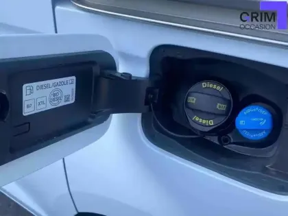 Photo 19 Ford Tourneo Grand  Connect 2.0 EcoBlue 122 BVM6