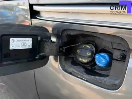 Photo 19 Ford Tourneo Grand  Connect 2.0 EcoBlue 102 BVM6