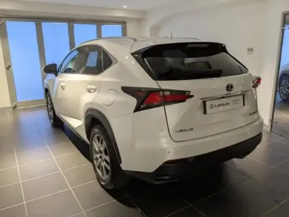 Photo 12 Lexus Nx  300h 4WD Luxe