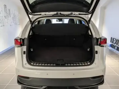 Photo 10 Lexus Nx  300h 4WD Luxe