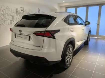 Photo 14 Lexus Nx  300h 4WD Luxe