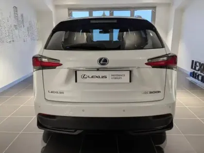 Photo 13 Lexus Nx  300h 4WD Luxe