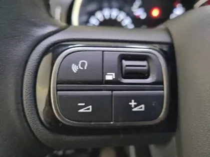 Photo 26 Citroën C3  PureTech 110 S&S BVM6