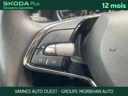 Photo 64 Skoda Kamiq 1.0 TSI EVO 110 CH BVM6