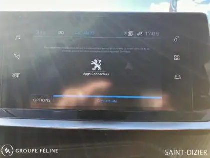Photo 13 Peugeot 2008  1.5 BlueHDi 110ch S&S Style