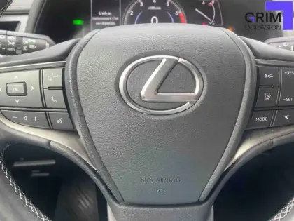 Photo 24 Lexus UX  250h 2WD