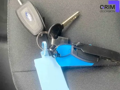 Photo 25 Ford Transit  CUSTOM FOURGON 300 L1H1 2.0 ECOBLUE 130