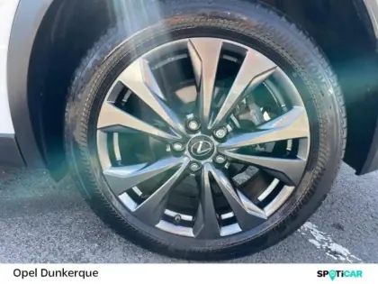 Photo 8 Lexus UX  250h 2WD F SPORT MY20