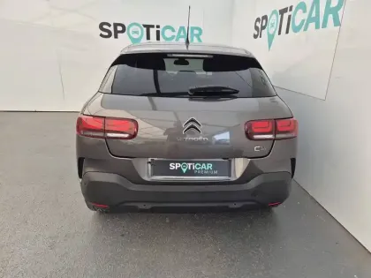 Photo 19 Citroën C4  Cactus PureTech 110 S&S BVM6