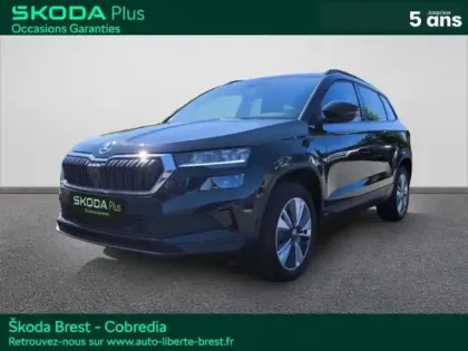 Photo Skoda Karoq Business