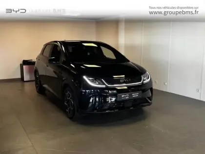 Photo Byd Dolphin Design