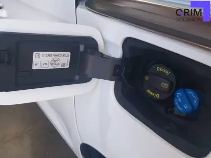 Photo 19 Ford Tourneo Grand  Connect 2.0 EcoBlue 122 BVM6