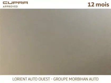 Photo 18 Cupra Formentor 1.4 E-HYBRID 245 CH DSG6