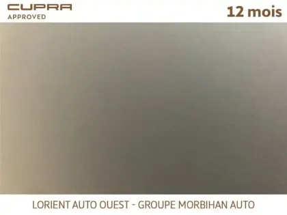 Photo 16 Cupra Formentor 1.4 E-HYBRID 245 CH DSG6