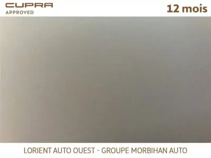 Photo 15 Cupra Formentor 1.4 E-HYBRID 245 CH DSG6
