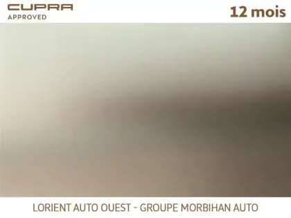 Photo 11 Cupra Formentor 1.4 E-HYBRID 245 CH DSG6