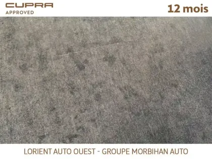 Photo 13 Cupra Formentor 1.4 E-HYBRID 245 CH DSG6