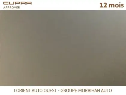Photo 19 Cupra Formentor 1.4 E-HYBRID 245 CH DSG6