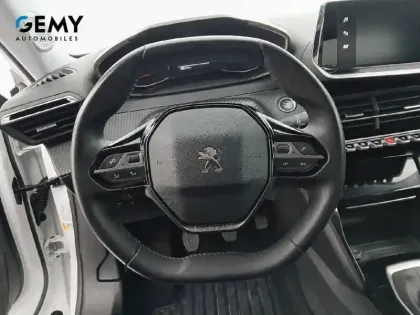 Photo 12 Peugeot 2008  BlueHDi 110 S&S BVM6