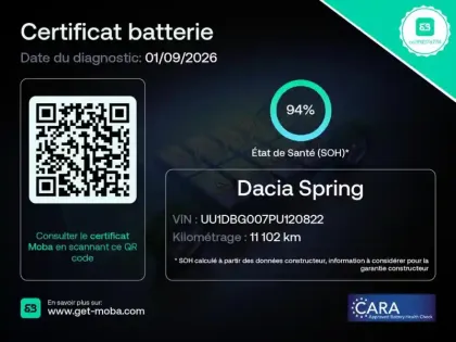 Photo 18 Dacia Spring  45ch Expression