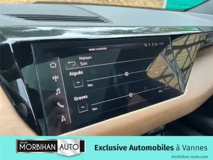 Photo 31 Audi E-tron 476 CH QUATTRO