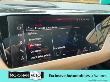 Photo 28 Audi E-tron 476 CH QUATTRO